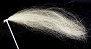 polorsub.gif (12166 �o�C�g)