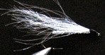 polormicky.gif (8890 �o�C�g)
