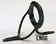 lnsg.gif (8055 oCg)